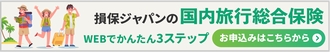 国内旅行総合保険